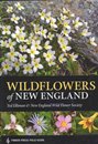 Wildflowers of New England
